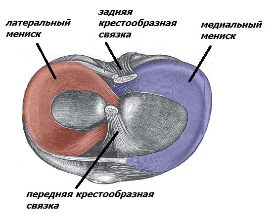 Разрыв мениска коленного сустава